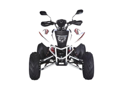 Квадроцикл RATO RТ250SТ-2, фото 2