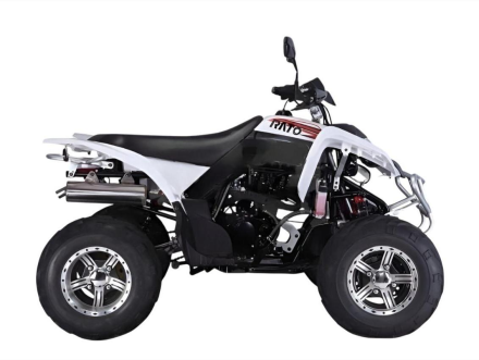 Квадроцикл RATO RТ250SТ-2, фото 1