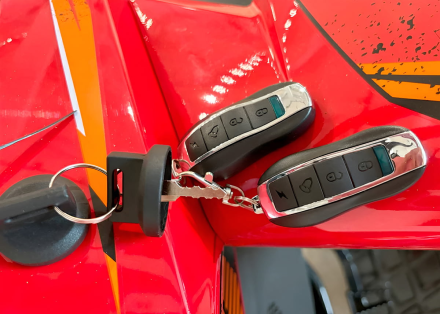 Квадроцикл YACOTA Typhoon 250LD, фото 4