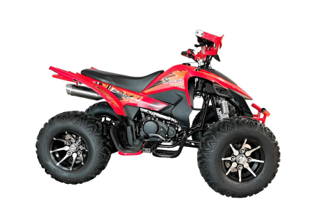 Квадроцикл YACOTA Typhoon 250LD, фото 3