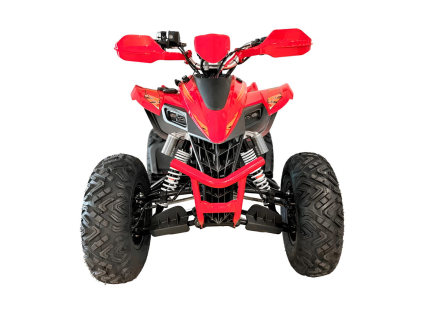 Квадроцикл YACOTA Typhoon 250LD, фото 2