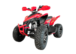 Квадроцикл YACOTA Typhoon 250LD, фото 1