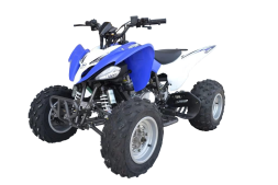 Квадроцикл ATV Pantera 150 CVT, фото 1