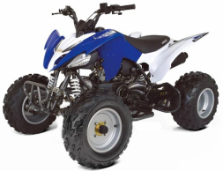 Квадроцикл ABM Scorpion 250, фото 3