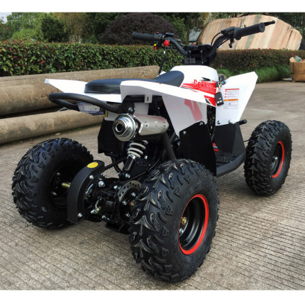 Детский квадроцикл Gekkon 70 (1+1), фото 4