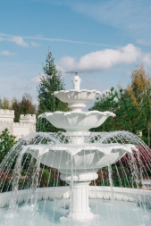 Эдемский сердечник, фото 1 Эдемский сердечник, фото 1