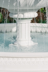 Эдемский сердечник, фото 5 Эдемский сердечник, фото 5