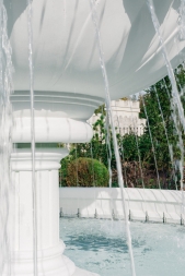 Эдемский сердечник, фото 4 Эдемский сердечник, фото 4