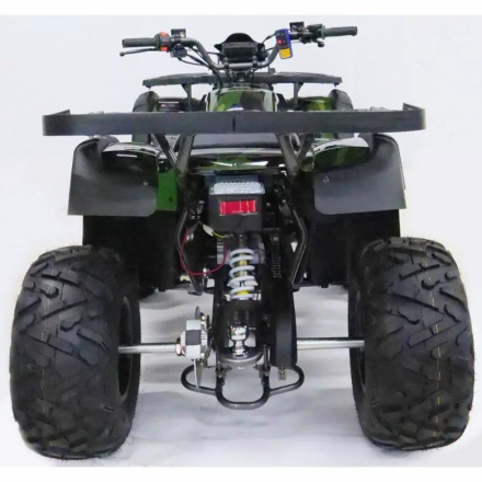 Квадроцикл MOTAX ATV Grizlik 200 Lux (с лебедкой), фото 6