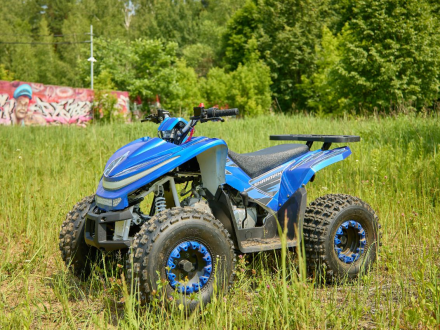 Квадроцикл SHARMAX Cross 180 RX, фото 31