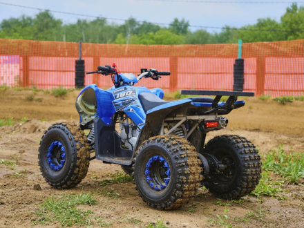 Квадроцикл SHARMAX Cross 180 RX, фото 28