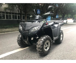 Квадроцикл RATO RT 250 ST LD, фото 5