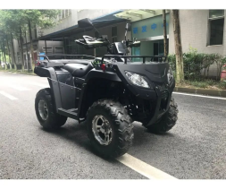 Квадроцикл RATO RT 250 ST LD, фото 4