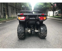 Квадроцикл RATO RT 250 ST LD, фото 3