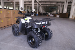 Квадроцикл ATV Jaeger 150, фото 5