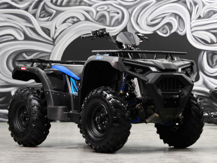 Квадроцикл SHARMAX Force 600 Ranger, фото 4