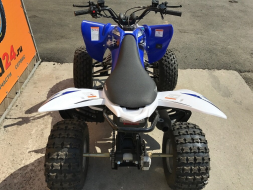 Квадроцикл ABM Scorpion 125M, фото 6