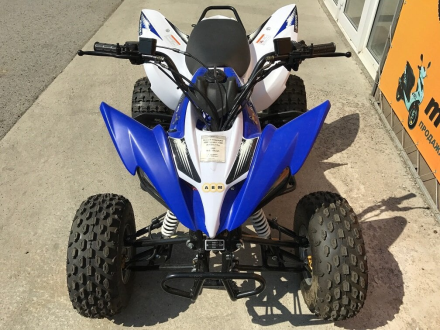 Квадроцикл ABM Scorpion 125M, фото 5