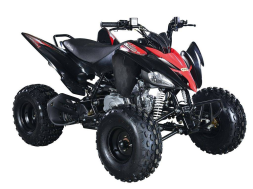 Квадроцикл ABM Scorpion 125M, фото 2