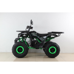 Квадроцикл MOTAX ATV Grizlik NEW LUX 125cc, фото 2 Квадроцикл MOTAX ATV Grizlik NEW LUX 125cc, фото 2