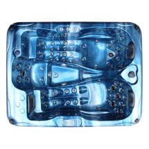 Спа бассейн Delfi Spa Nerida